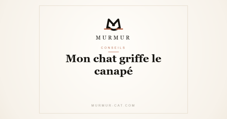 Mon chat griffe le canapé - MURMUR