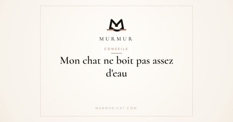 Mon chat ne boit pas assez d'eau - MURMUR