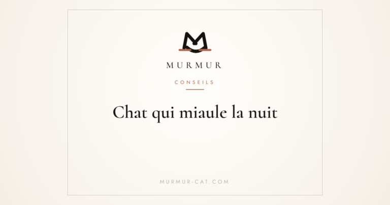 Chat qui miaule la nuit - MURMUR