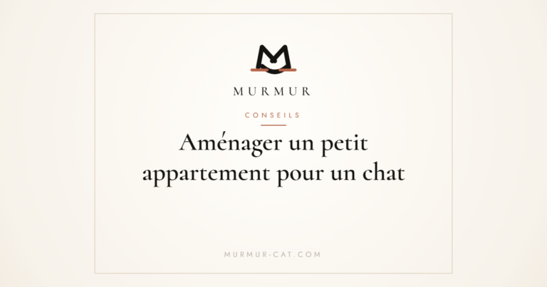 Aménager un petit appartement pour un chat - MURMUR